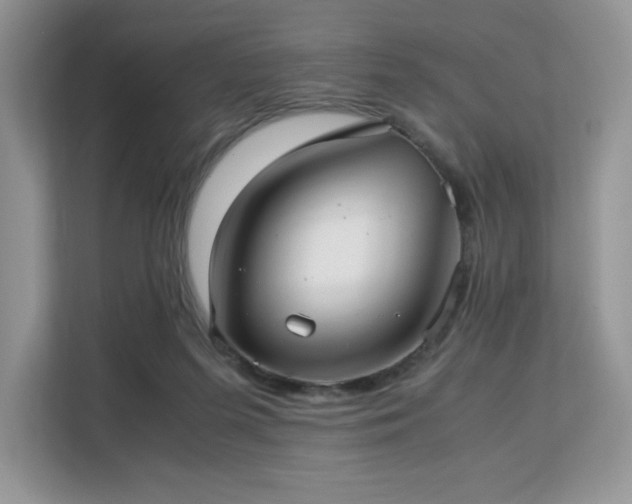 X0000113140215200909110940