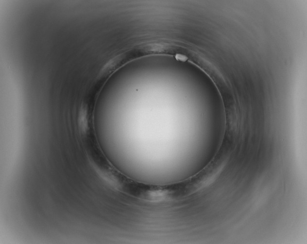 X0000113140216200909110940