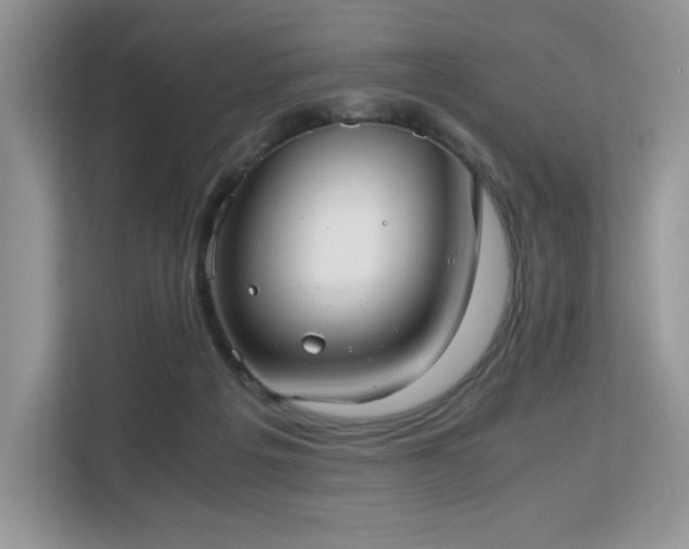 X0000113140217200909110940