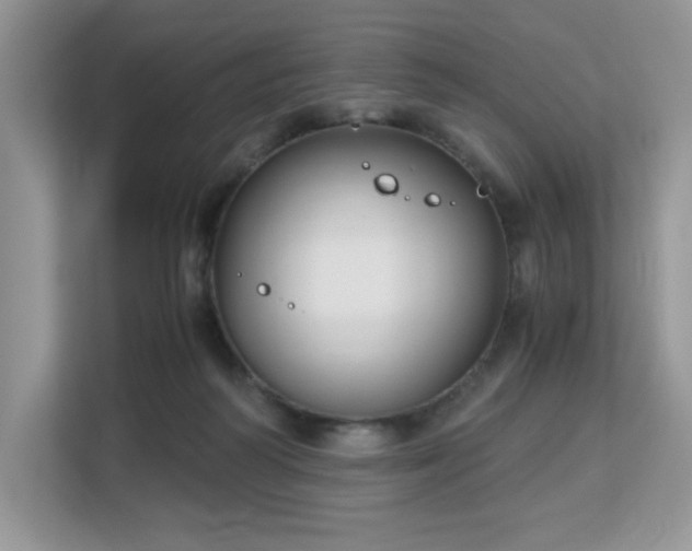 X0000113140218200909110940