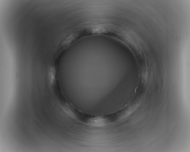 X0000113140219200909110940