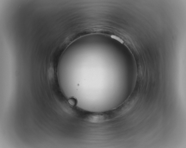 X0000113140220200909110940