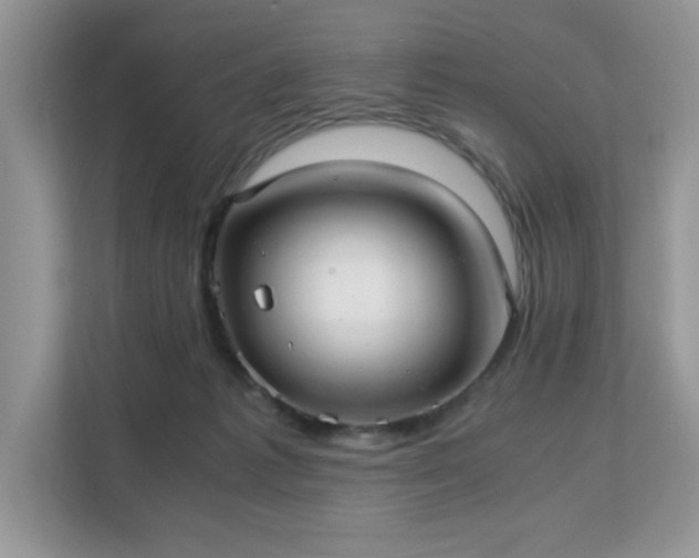 X0000113140221200909110940