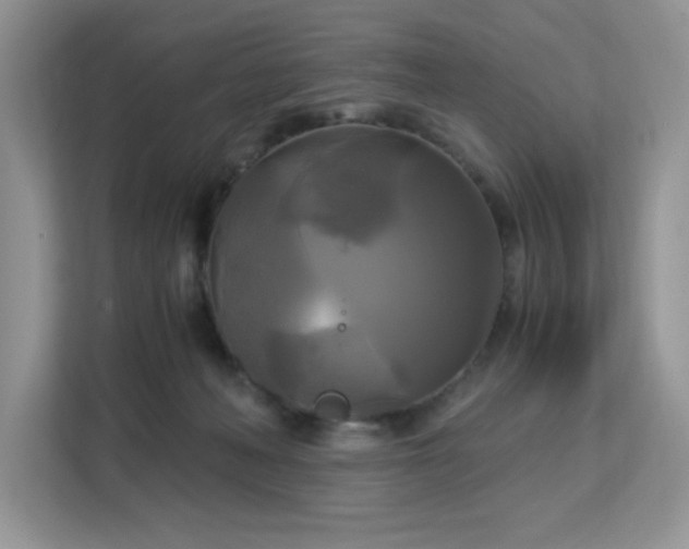 X0000113140222200909110940