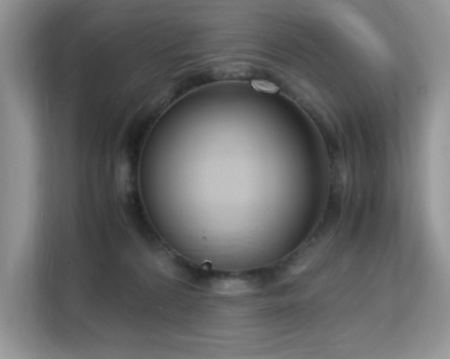 X0000113140224200909110940