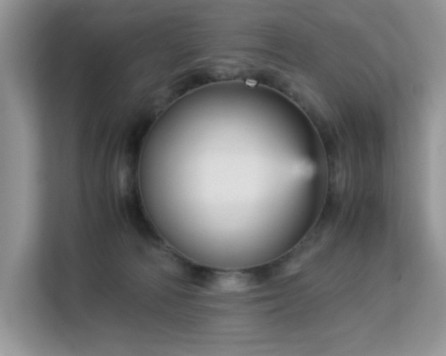 X0000113140226200909110940