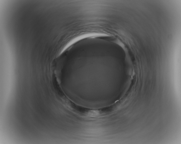 X0000113140227200909110940