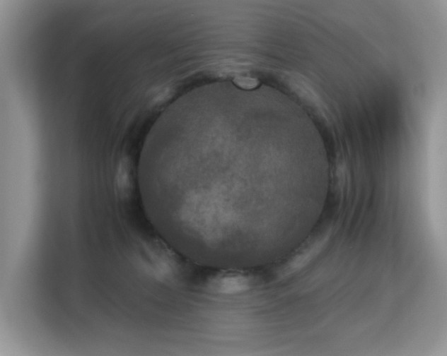 X0000113140228200909110940