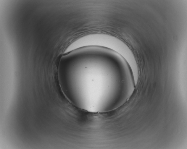 X0000113140229200909110940