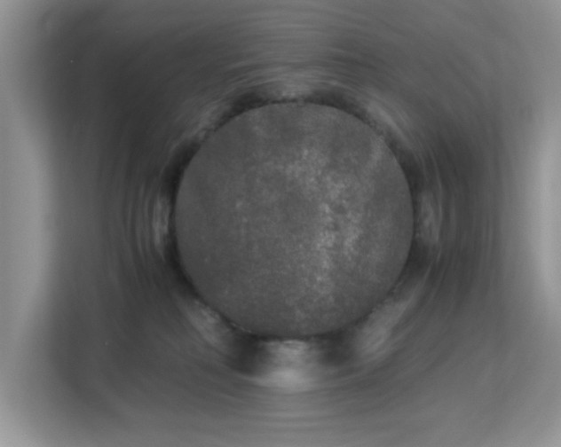 X0000113140230200909110940