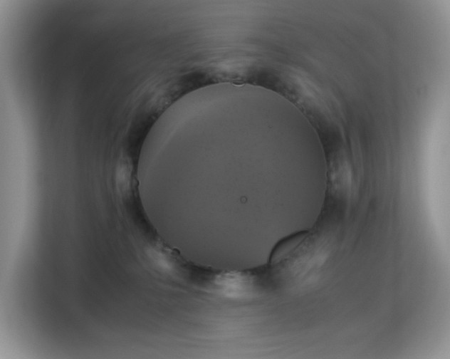 X0000113140231200909110940