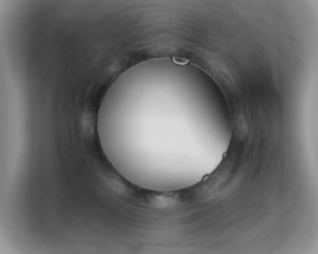 X0000113140232200909110940