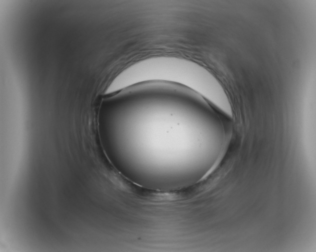 X0000113140233200909110940