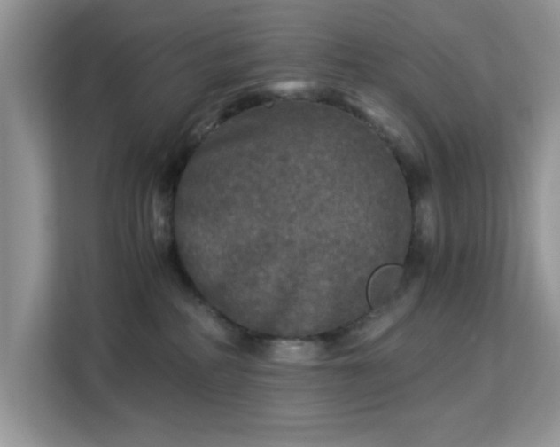 X0000113140234200909110940