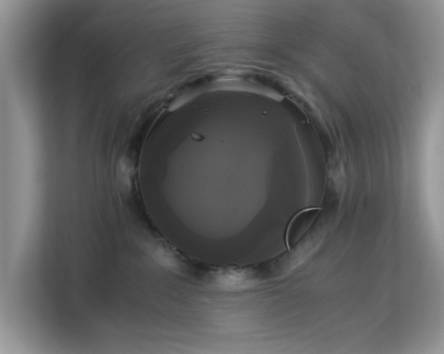 X0000113140235200909110940