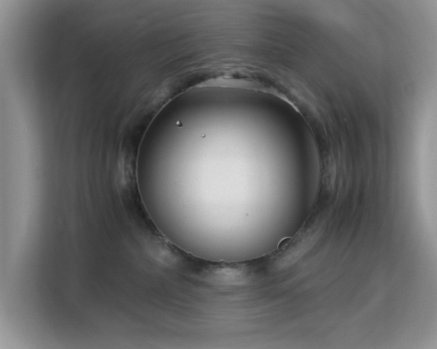 X0000113140236200909110940