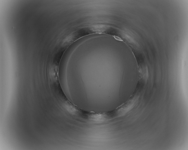 X0000113140237200909110940