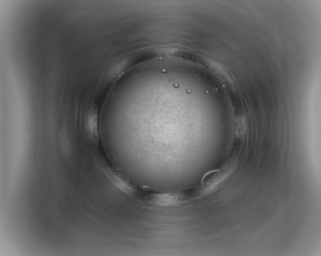 X0000113140238200909110940