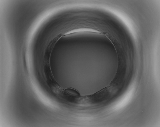 X0000113140239200909110940