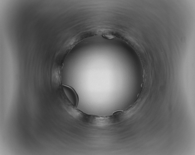 X0000113140240200909110940