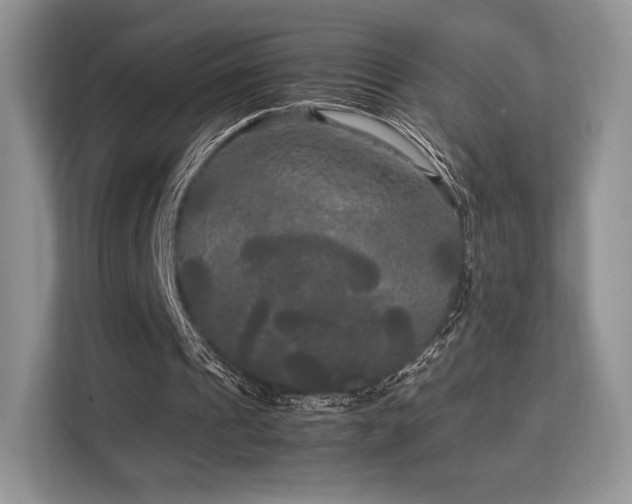 X0000113140241200909110940