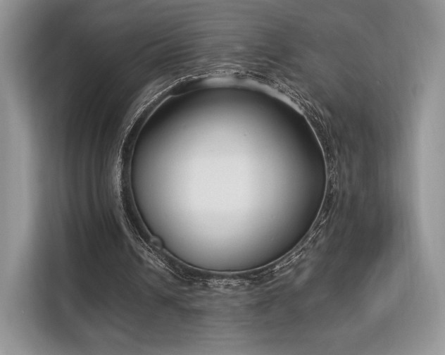 X0000113140242200909110940