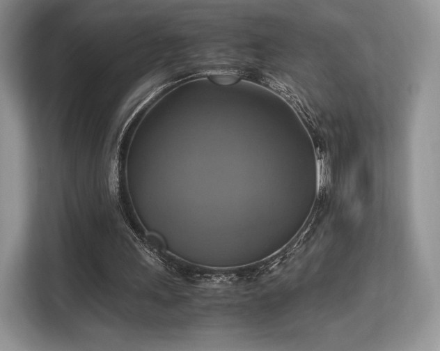 X0000113140243200909110940