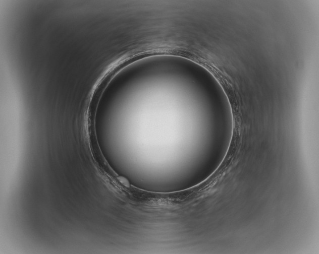 X0000113140244200909110940