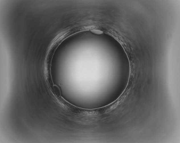 X0000113140245200909110940