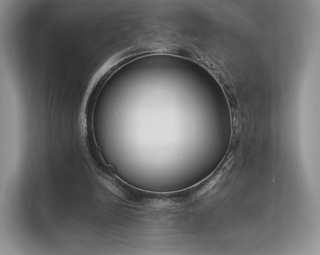 X0000113140246200909110940