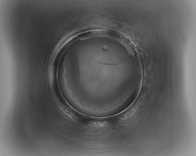 X0000113140247200909110940