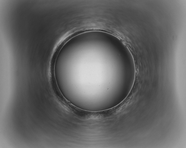 X0000113140248200909110940