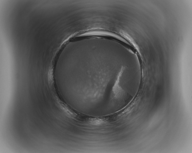 X0000113140249200909110940