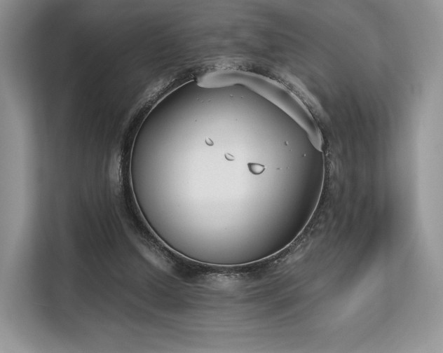 X0000113140250200909110940