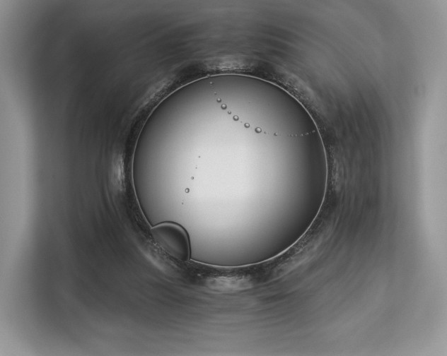 X0000113140251200909110940