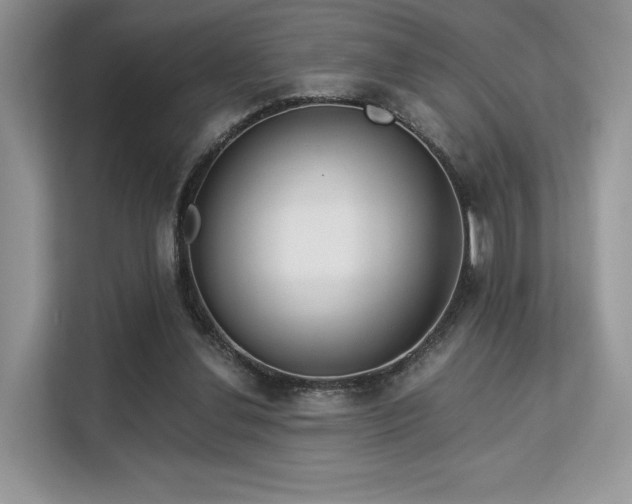 X0000113140252200909110940