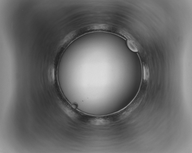 X0000113140253200909110940