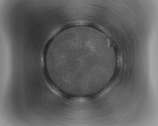 X0000113140254200909110940