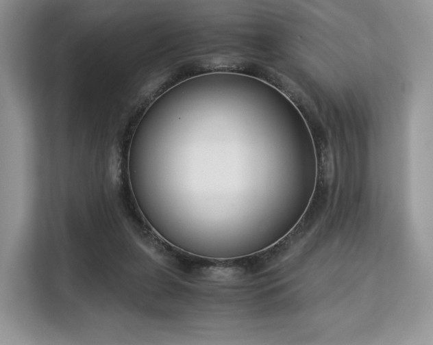 X0000113140255200909110940