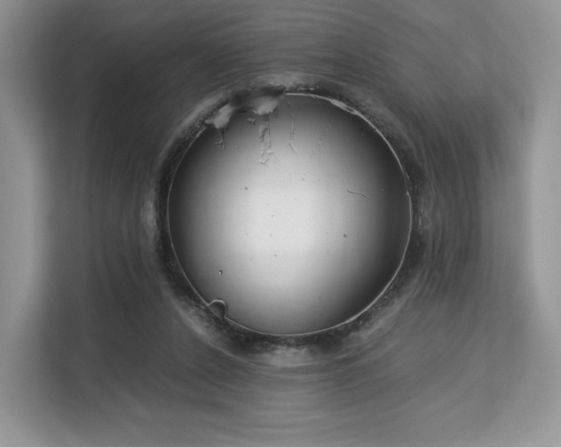 X0000113140256200909110940