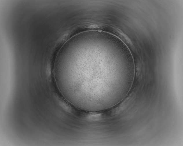 X0000113140257200909110940