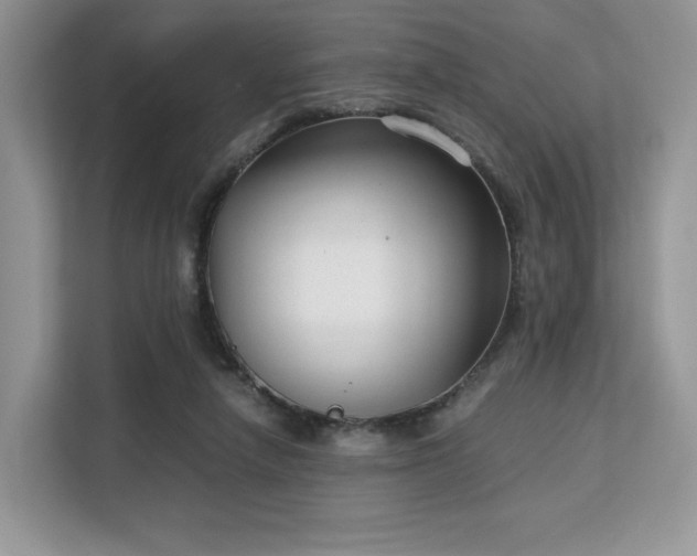 X0000113140258200909110940