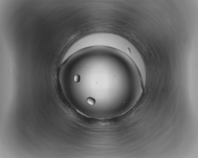 X0000113140260200909110940