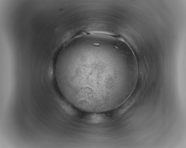 X0000113140261200909110940