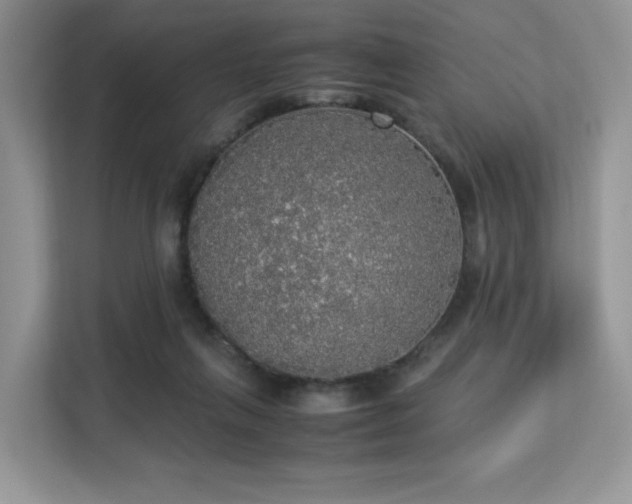 X0000113140263200909110940