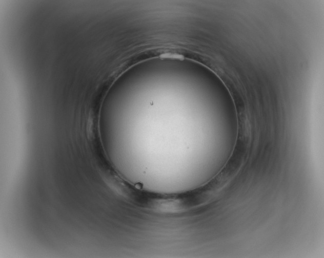 X0000113140266200909110940