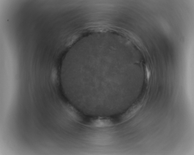 X0000113140270200909110940