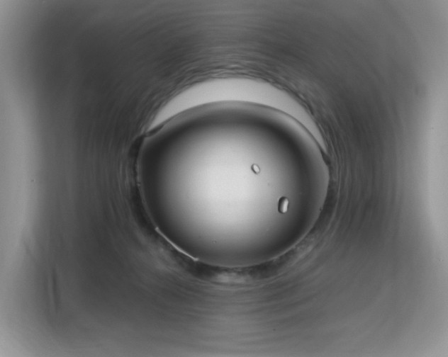 X0000113140272200909110940