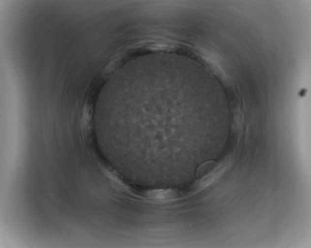 X0000113140273200909110940