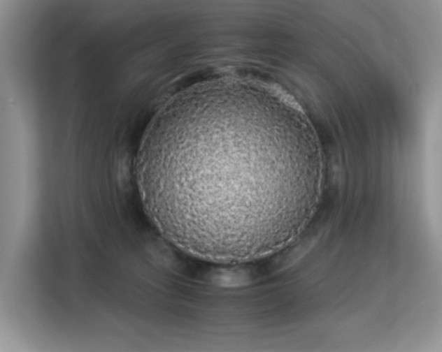 X0000113140275200909110940